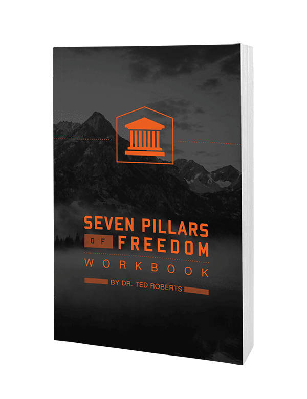 Conquer Series - Seven Pillars of Freedom Workbook